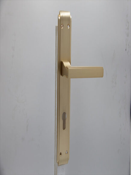 AB - 005 -  SGP (PLATE)