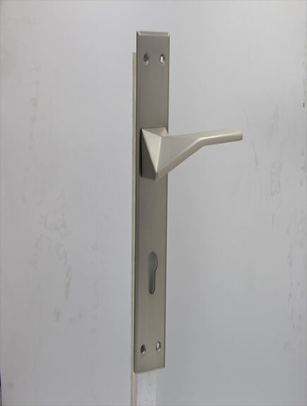 AVVA - V1 - MSN (PLATE)