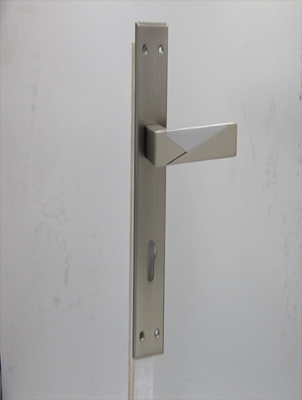 AVVA - V2 - MSN/CP (PLATE)