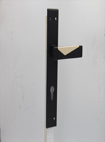 AVVA - V2 - BLACK/RGP (PLATE)