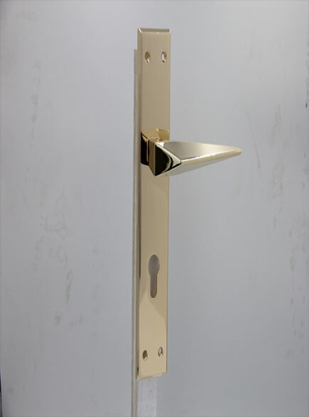 AVVA - V3 - RGP (PLATE)