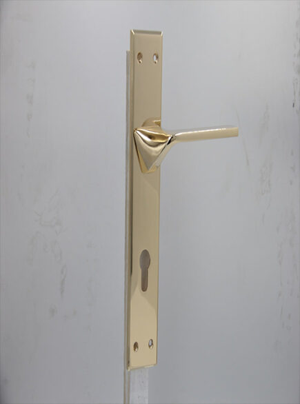 AVVA - V4 - RGP (PLATE)