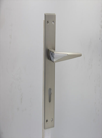 AVVA - V5 - MSN/CP (PLATE)