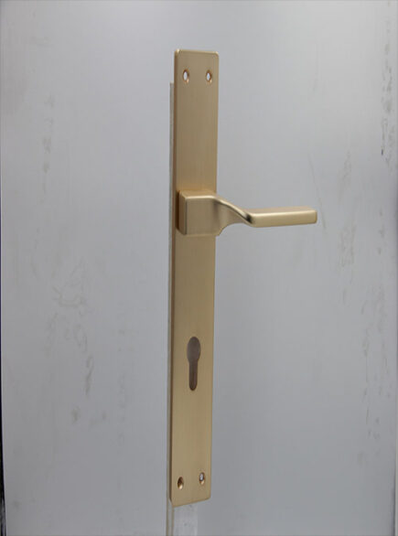 AVVA - V7 - MSN (PLATE)