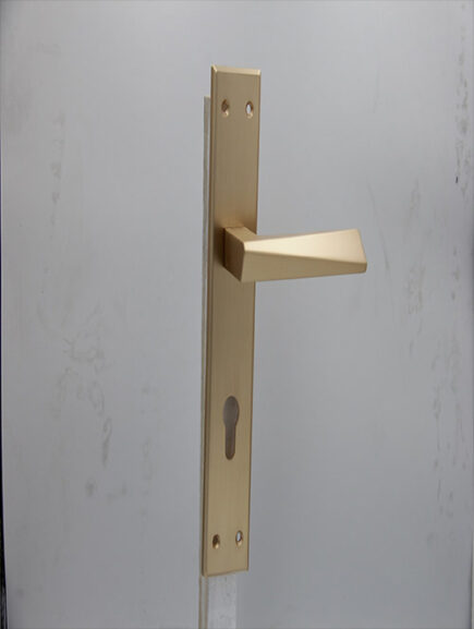 AVVA - V8 - MSN (PLATE)