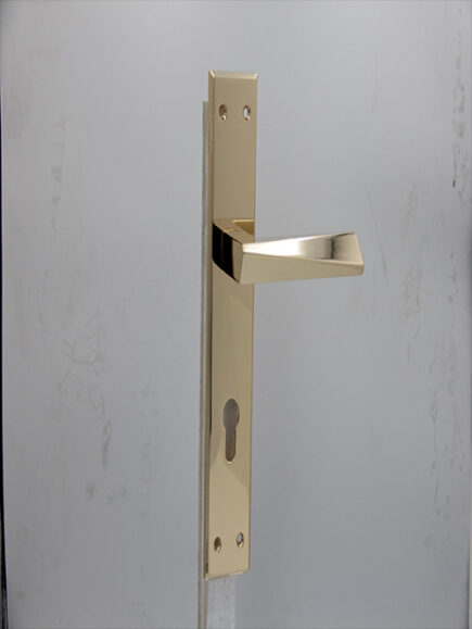 AVVA - V8 - RGP (PLATE)