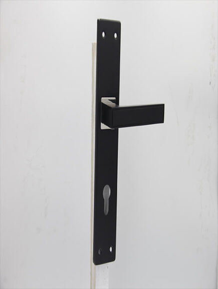 CD - 011 - MSN/RGP  (PLATE)