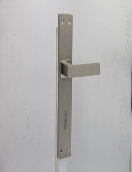 CD - 013 -  MSN  (PLATE)