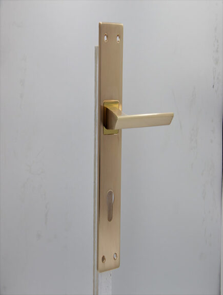 CD - 014 -  RGP  (PLATE)