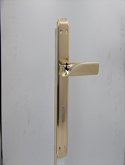 CD - 34 -  MSN  (PLATE)