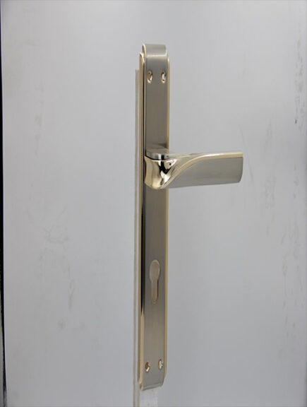 CD - 035 -  SN RGP  (PLATE)