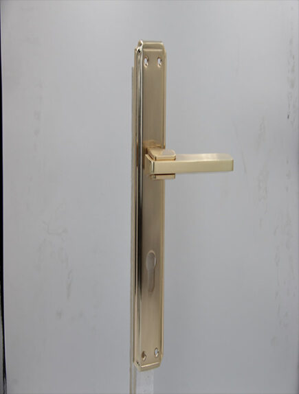 CD - 036 -  RGP  (PLATE)