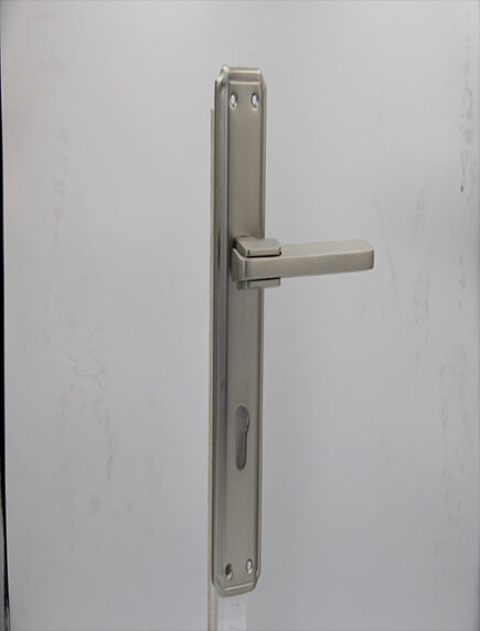 CD - 036 -  MSN  (PLATE)