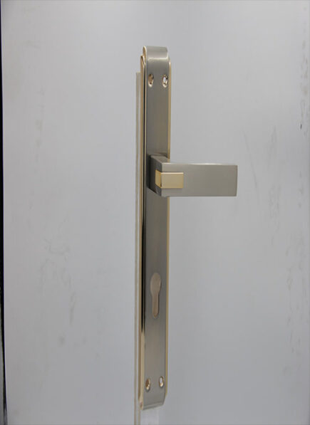 CD - 037 -  MSN/CP  (PLATE)