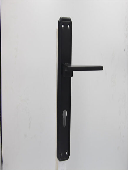 CD - 038 -  RGP  (PLATE)