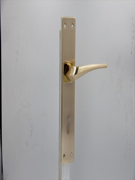 CD - 039 -  RGP  (PLATE)