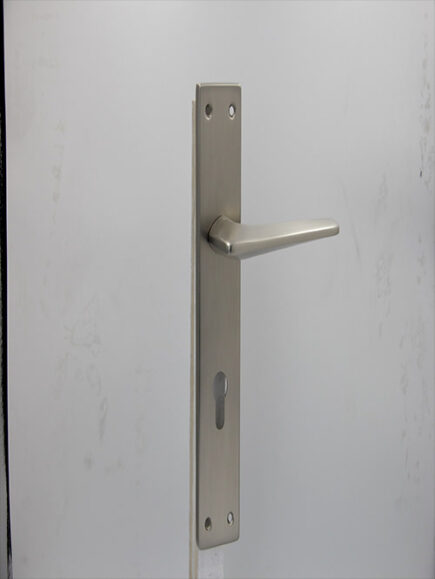 CD - 043 -  MSN  (PLATE)