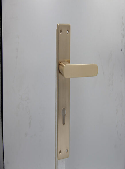 CD - 049 -  RGP  (PLATE)