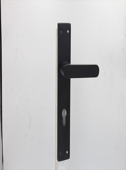 CD - 049 -  BLACK  (PLATE)