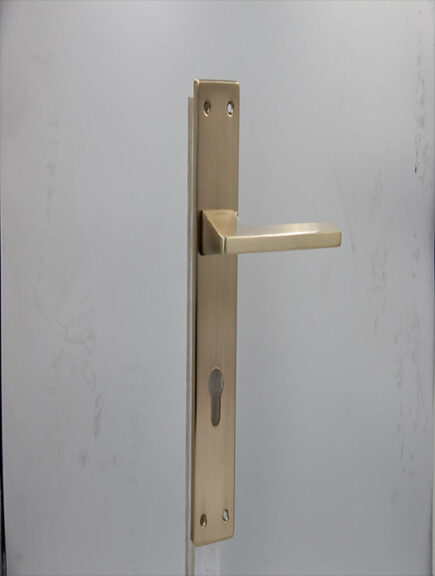 CD - 051 -  RGP  (PLATE)