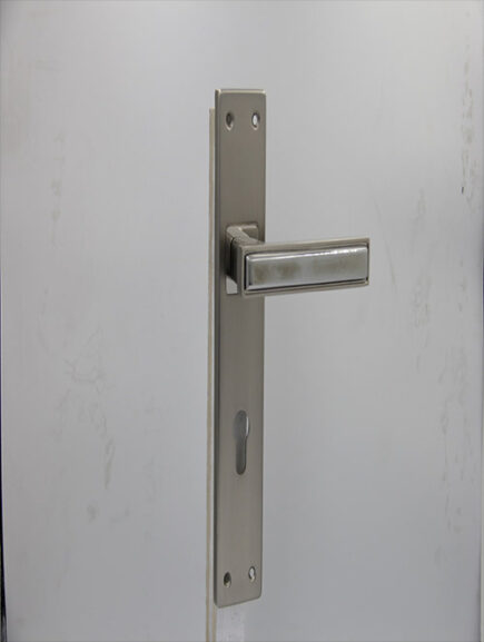 CD - 052 -  MSN/CP  (PLATE)