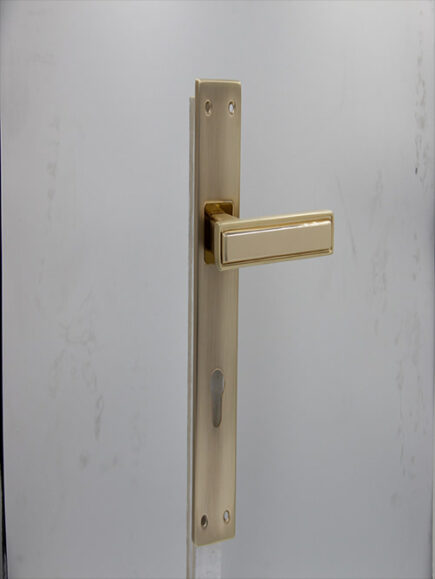 CD - 052 -  MRGP/RGP  (PLATE)